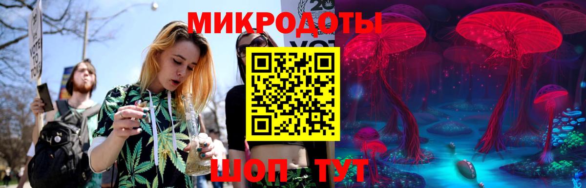 Галлюциногенные грибы Psilocybe Сергиев Посад